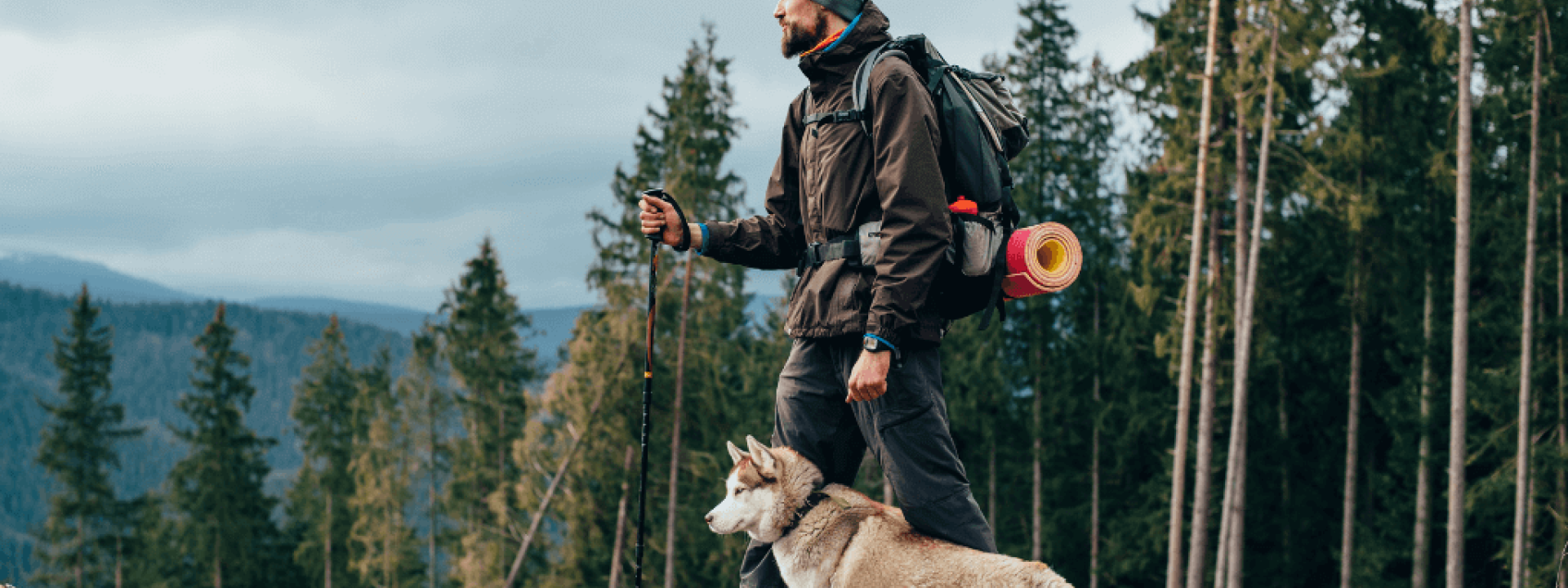 tips for hiking with dogs